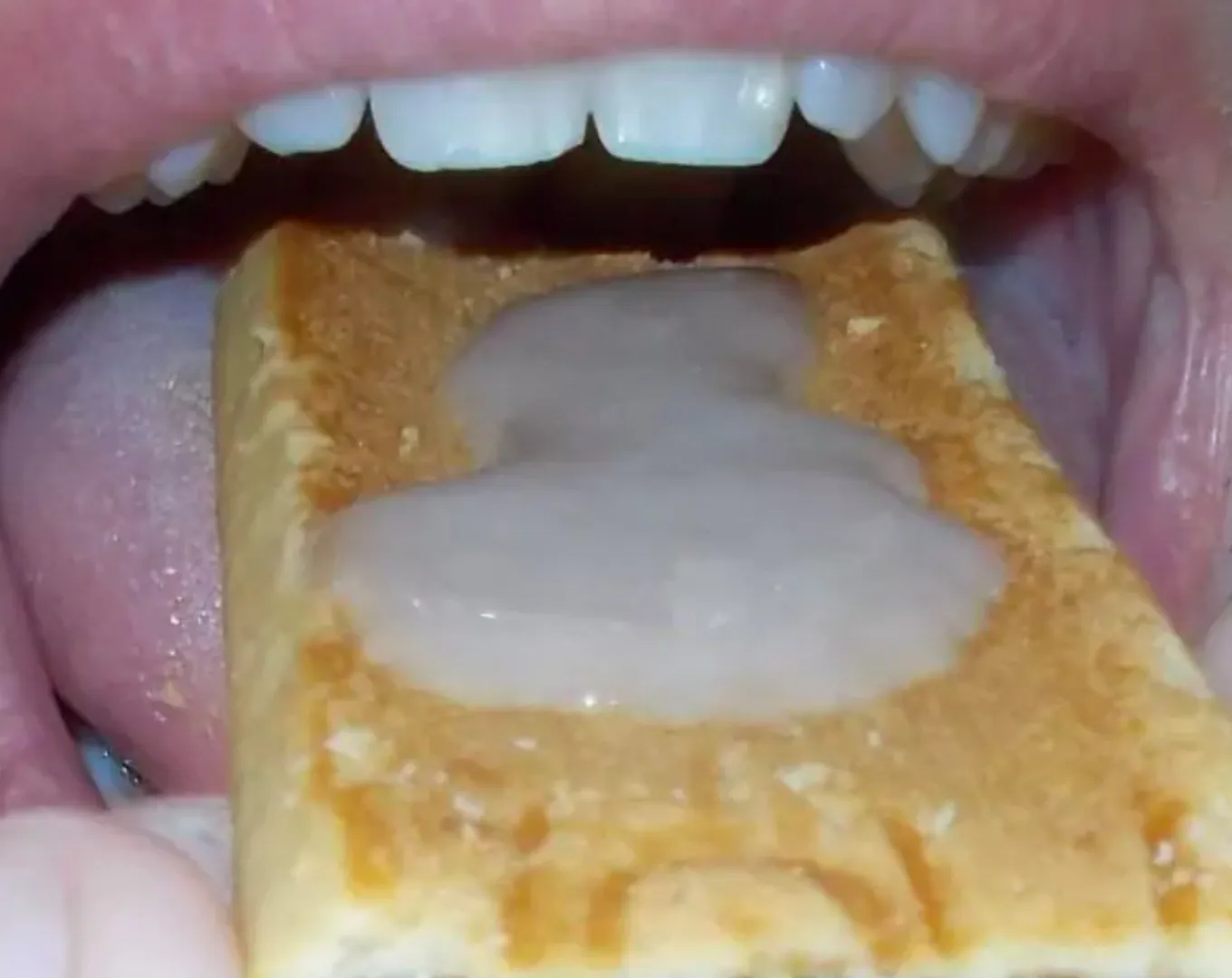 snack posted by AmbitionQuiet1175