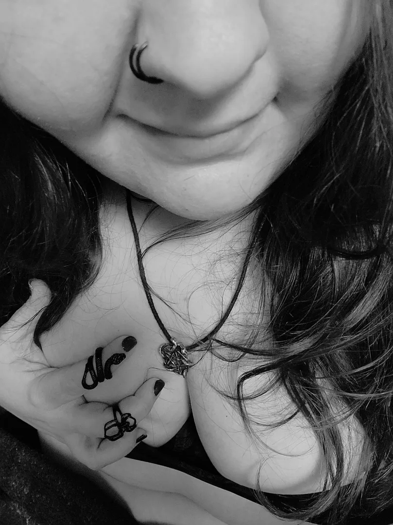 Snakes and spiders  posted by hornystonerteacher