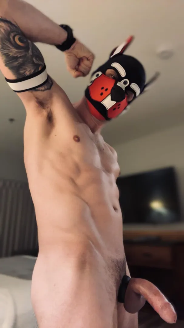 Sniff posted by xxxpup