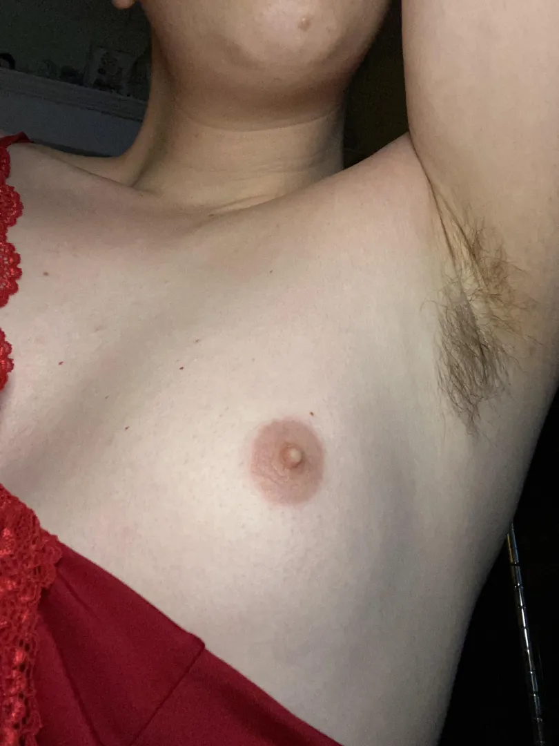 sniff or lick? posted by orchidtrans