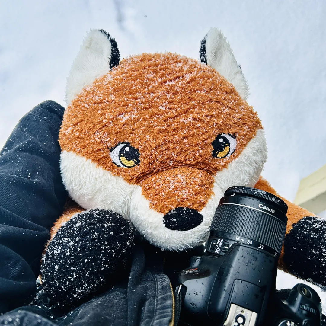 [Snuggle Saturday] Autumn’s first snow day! posted by RedTeddyRedemption