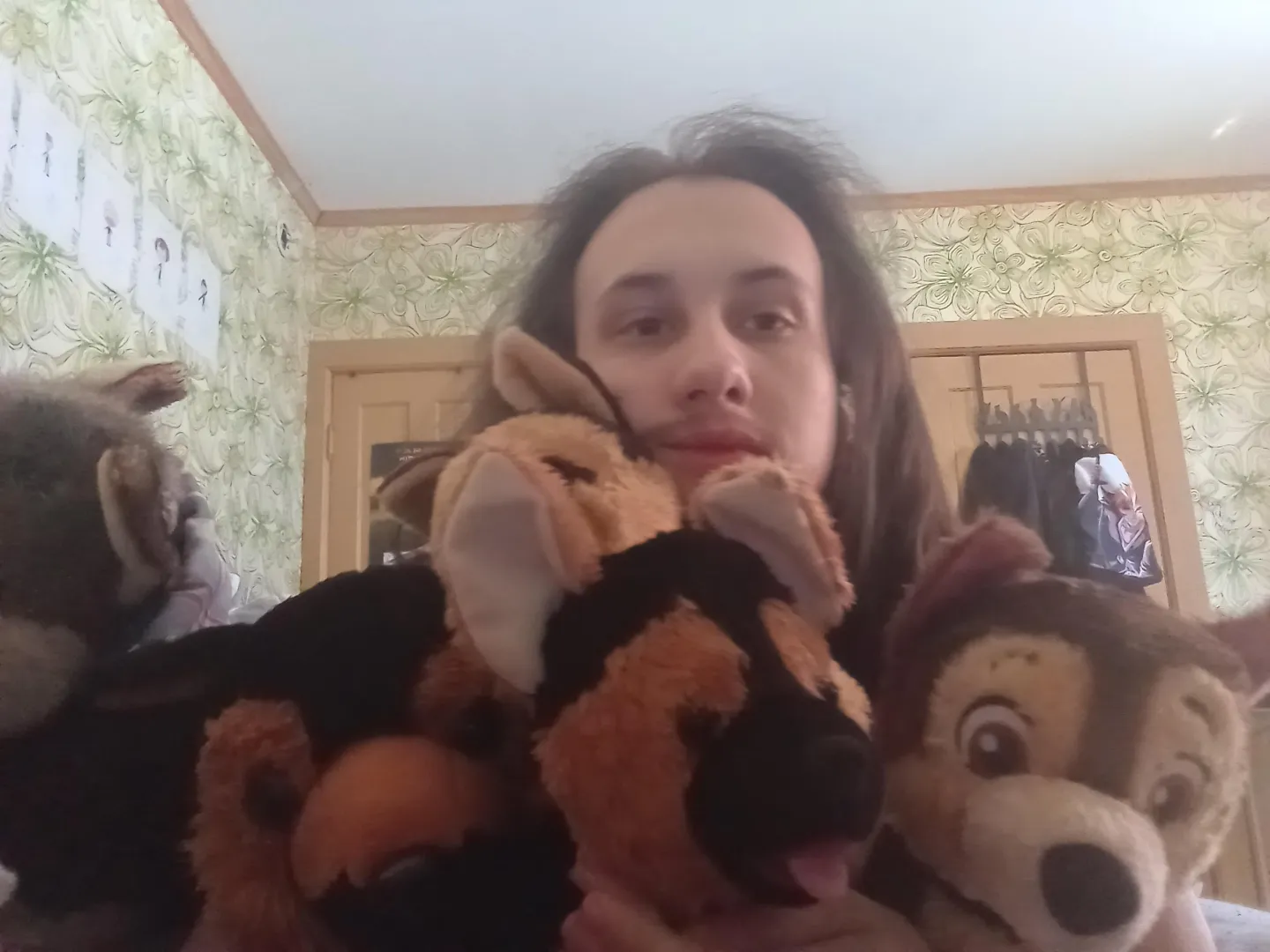 [Snuggle Saturday] Cuddling with some of my German Shepherd plushies. posted by plush_boy700