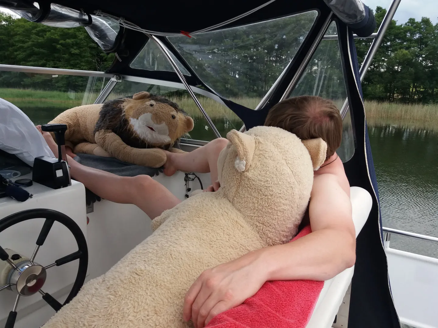 [Snuggle saturday] enjoy being with my lions outsite posted by Wooden-Issue-3145