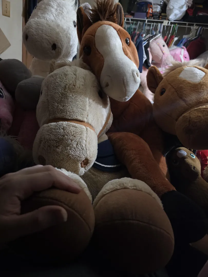 [Snuggle Saturday] my mares know it's Saturday. posted by RarityIsLife