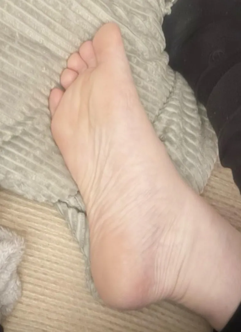 Sofa sole posted by Pleasant_Blueberry55