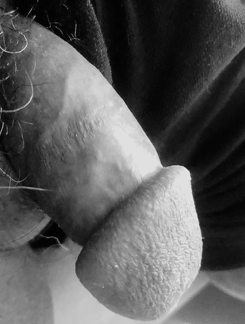 Soft lines posted by Sochaw