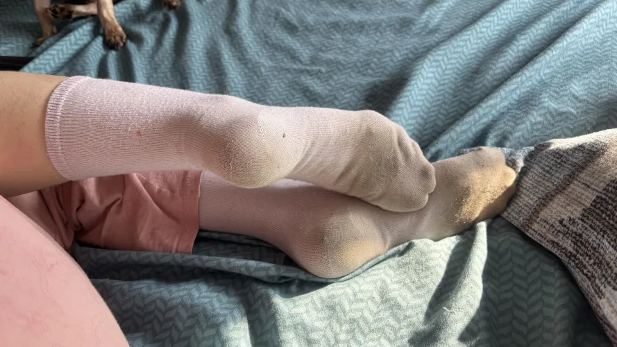 Soft, sweaty and lightly dirty soles crew socks. Let me smush your face right now while you are in your knees by ChloeToeQueen