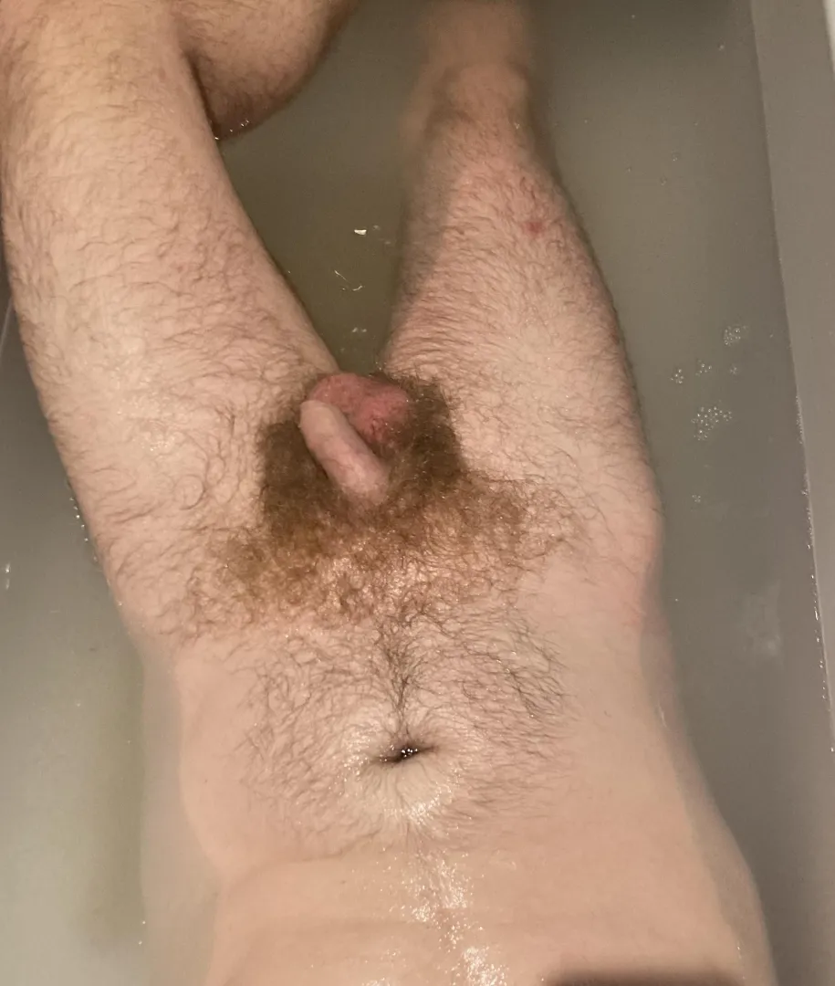 Soft Wet Ginger Dick posted by robertbertos101