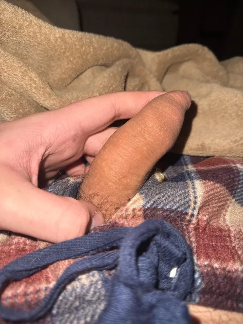 (Softie) Dm to trade by Intrepid-Trip8191