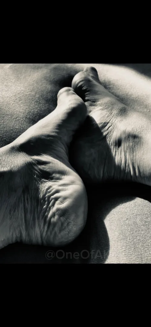 Some angles tell more than others. posted by SoftToDarkFeet