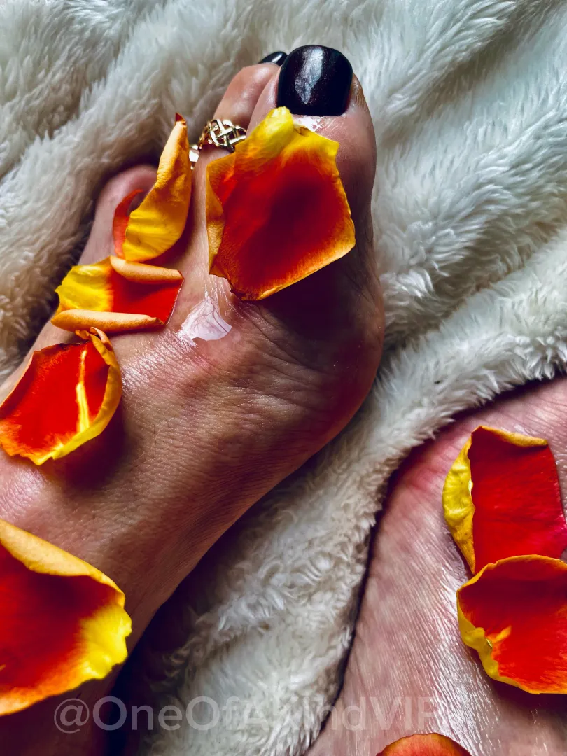 Some details aren’t obvious posted by SoftToDarkFeet