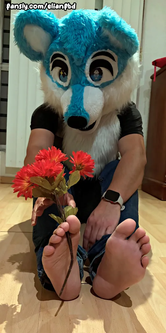 Some flowers for you ! posted by ElianFBD