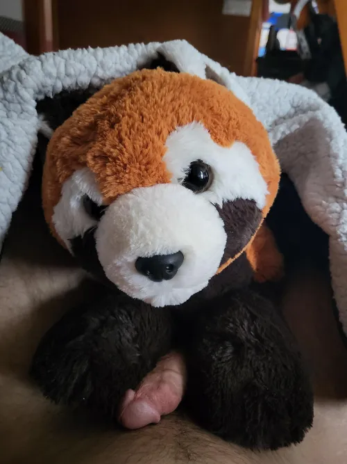 Someone claimed there territory. This morning by Remote-Toe1384