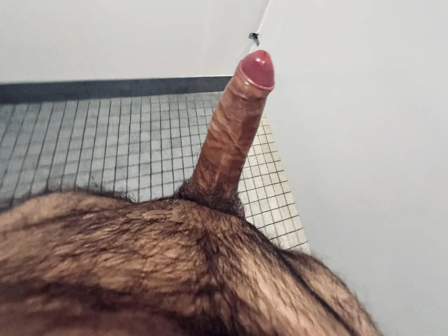 Someone told me hairy men feel different! posted by thehighkite