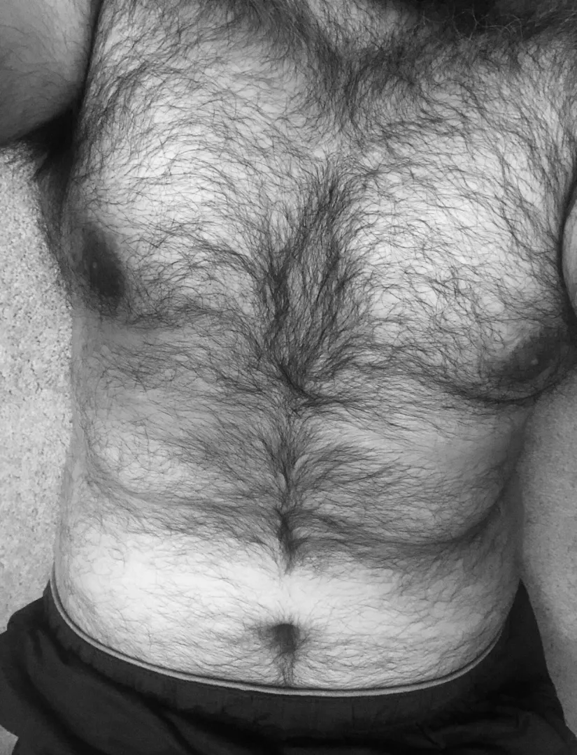 Someone told me I’m a bear! Is it true? posted by thewitcher890