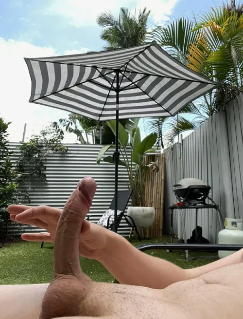 Somerton park area looking for today by NoCoach2121