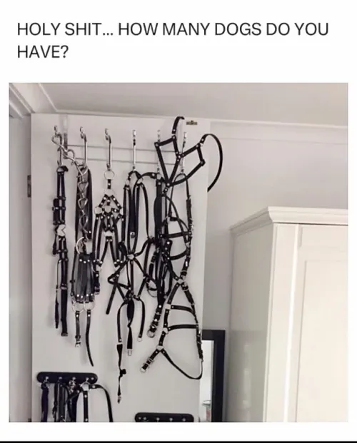 somethings sus here: by Brent_Fox