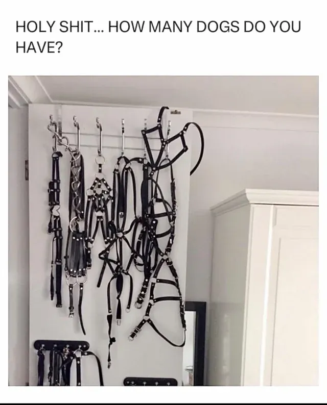 somethings sus here: posted by Brent_Fox