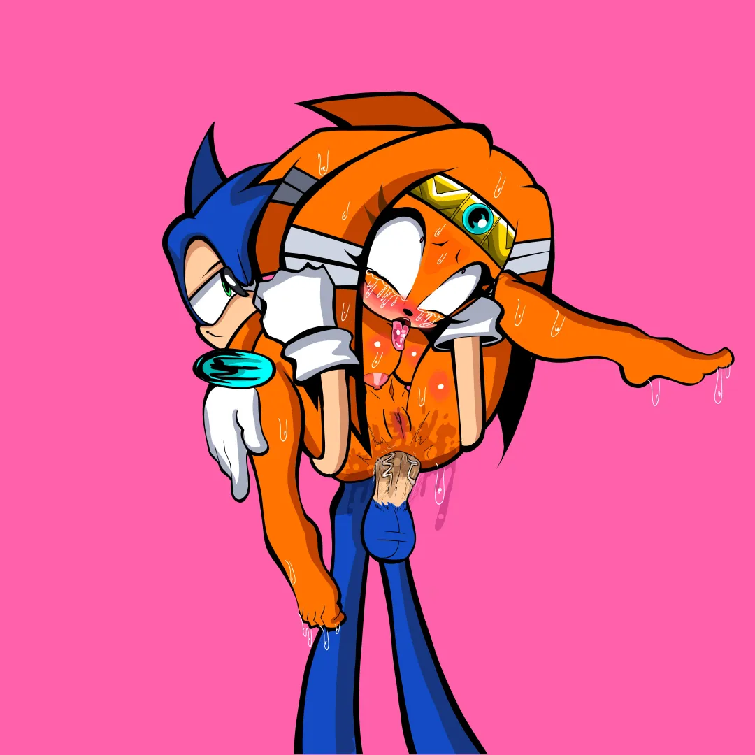 Sonic and Tikal (art by me) posted by fatherfigure75