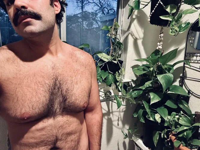 Spent all day bringing the plant gang indoors. ❄️ by serialbluntwulf