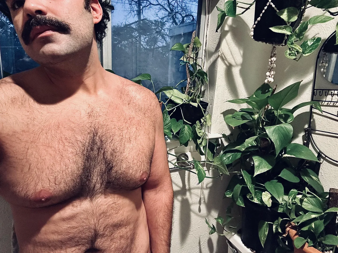 Spent all day bringing the plant gang indoors. ❄️ posted by serialbluntwulf