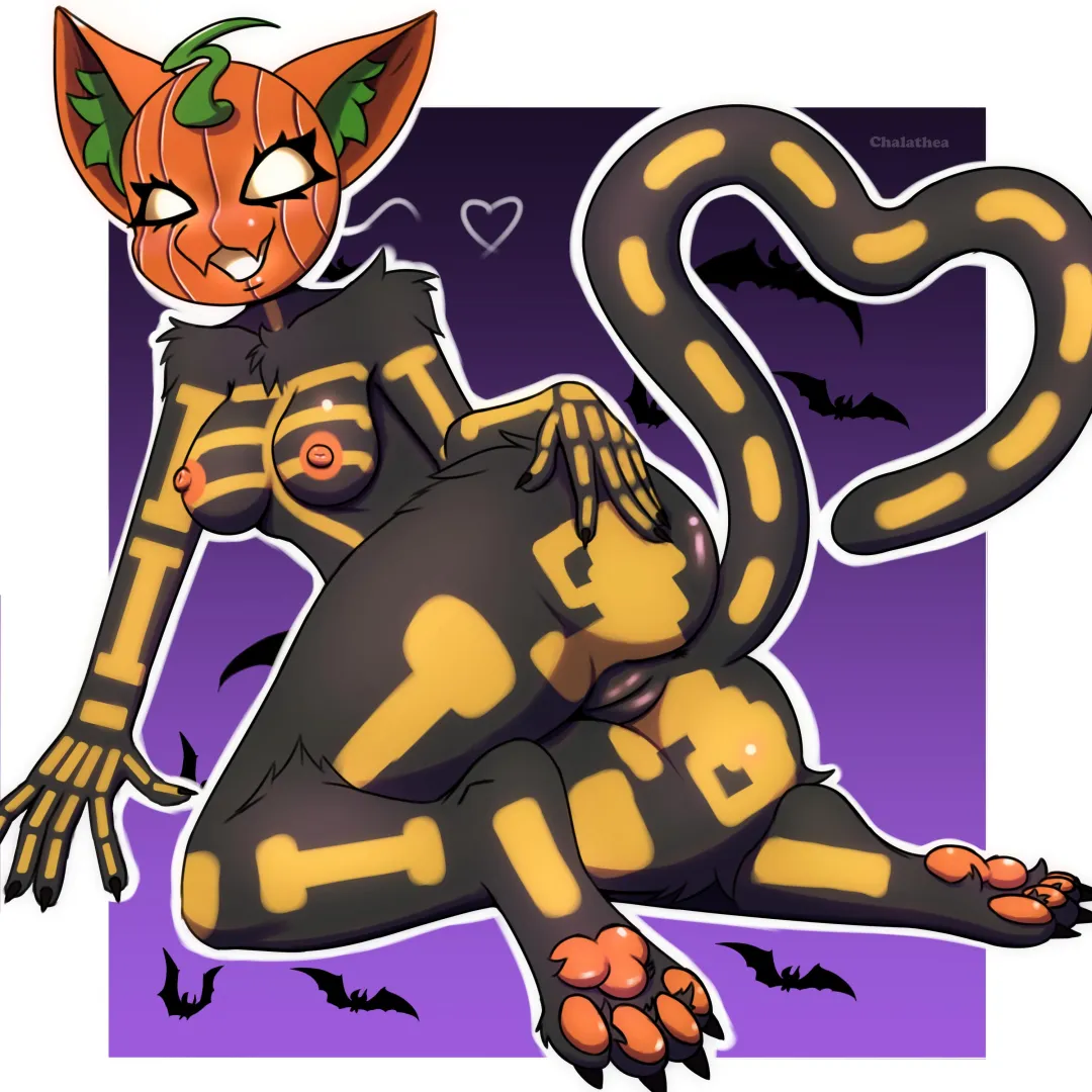 Spice (Chalathea) posted by Bitow_kun