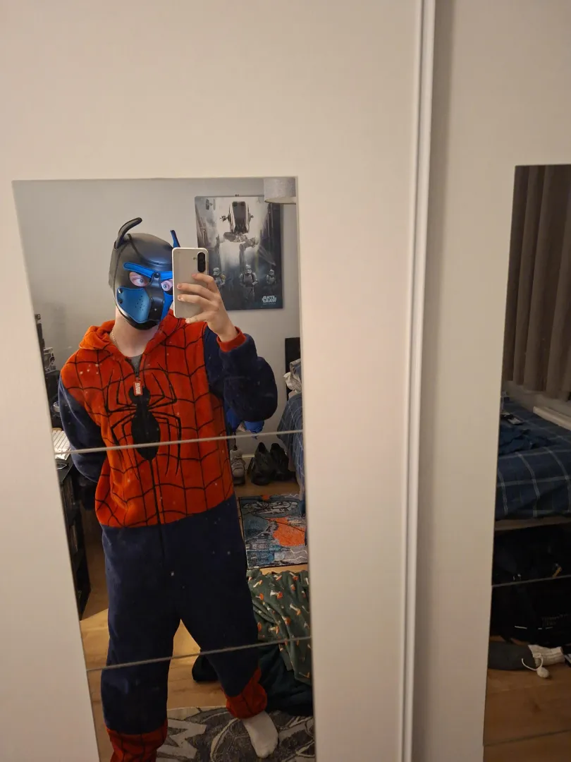 Spider dog posted by Born-Perspective-350