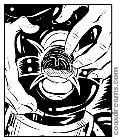 Spider Gag (Coaxdreams) by coaxdreams