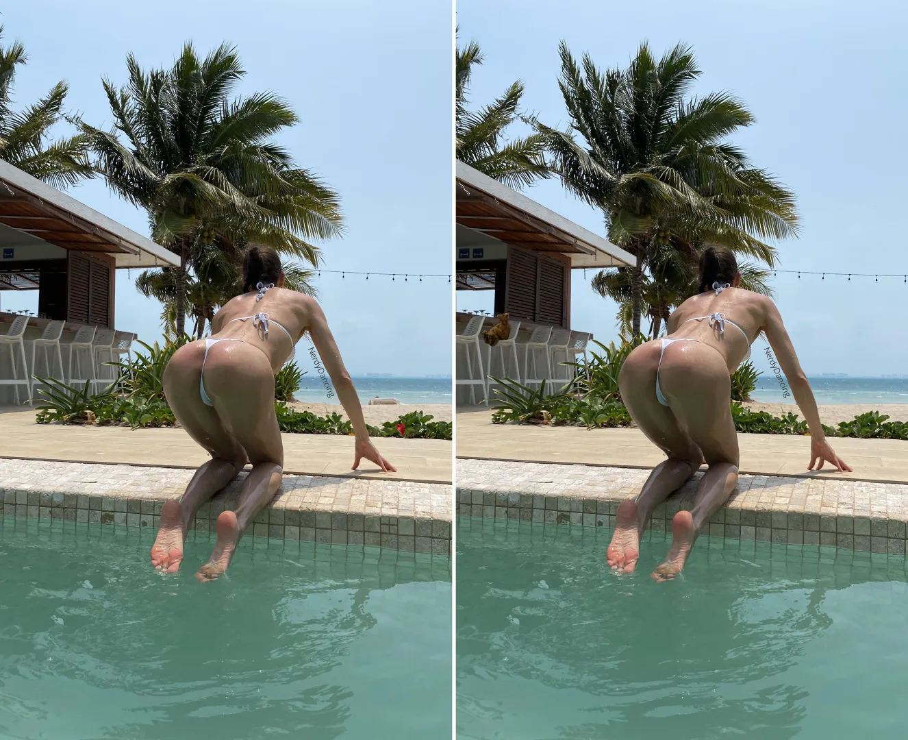 Spot 10 differences. Photo and edit by me. posted by nerdydancing