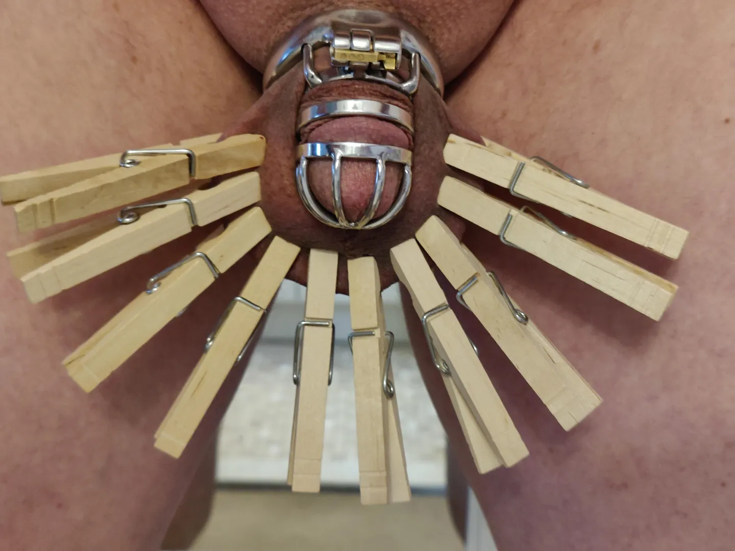 Standard plywood peacock posted by Old-Pin-5289