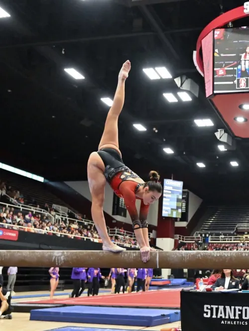 Stanford (balance beam) by Short-Inspection9538