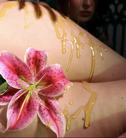 Stargazer Lily & Honey ✨ by HexMaiden