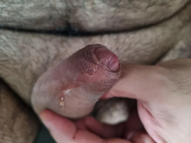 Starting the week leaking by One_Calligrapher8512