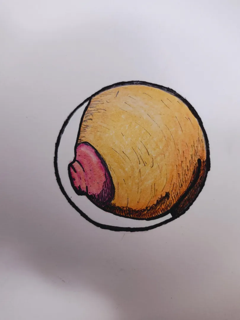 Sticker ideas posted by Traditional_Ask_7369