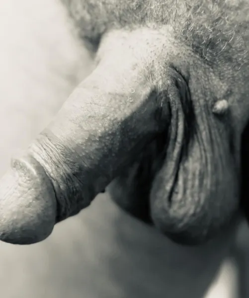 Stoic and hanging by New-Incident-2227