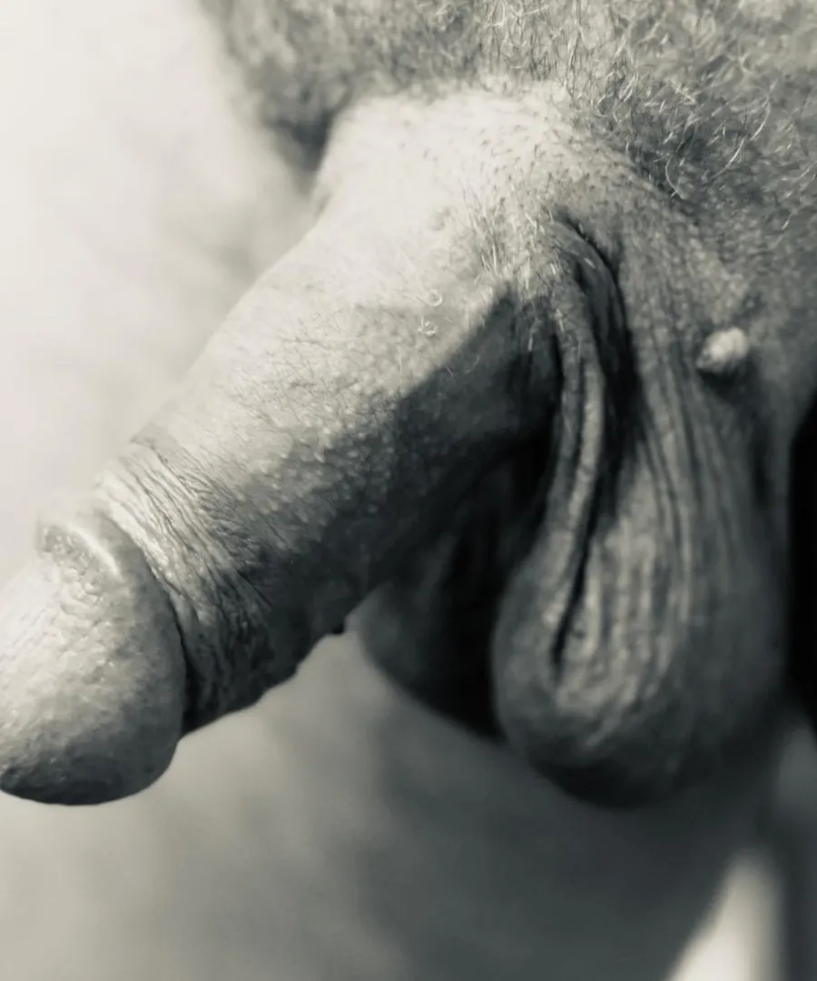 Stoic and hanging posted by New-Incident-2227