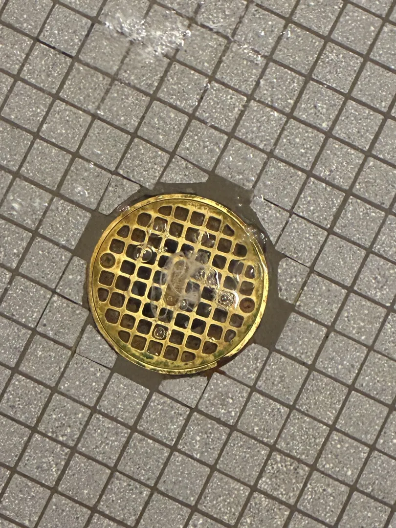 Straight daddy cums in shower posted by Immediate-Basil4840