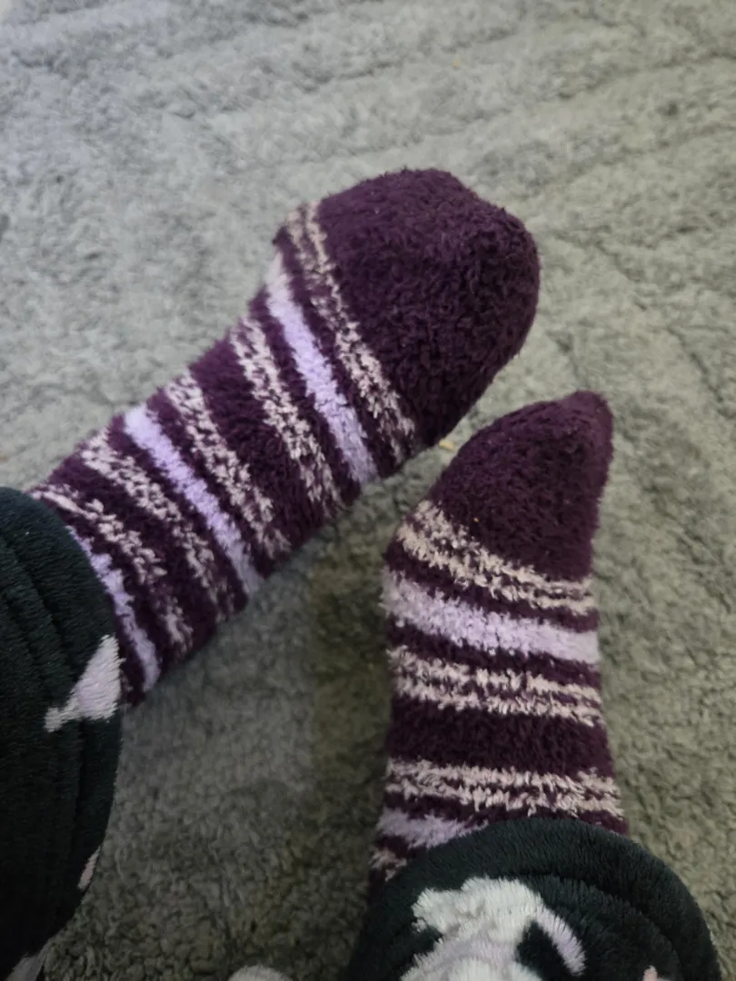 Striped fuzzy socks haunt your dreams  brat paws demand tribute posted by cheekyxlass