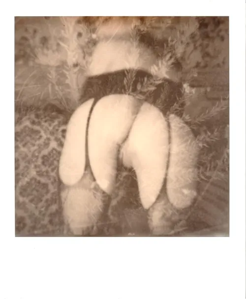 Stroke Gardens by GregDaShank