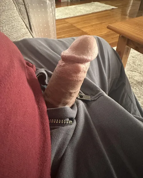 Stroking my cock in my sister in law’s living room by bearded-bull69