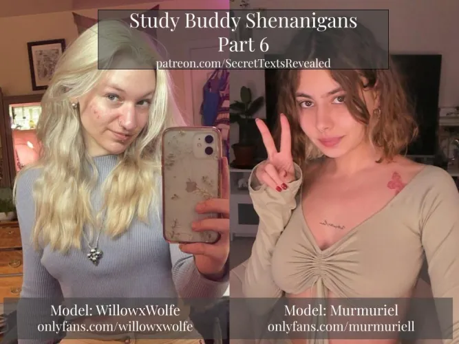 Study Buddy Shenanigans Part 6 and 7 by SecretTextsRevealed