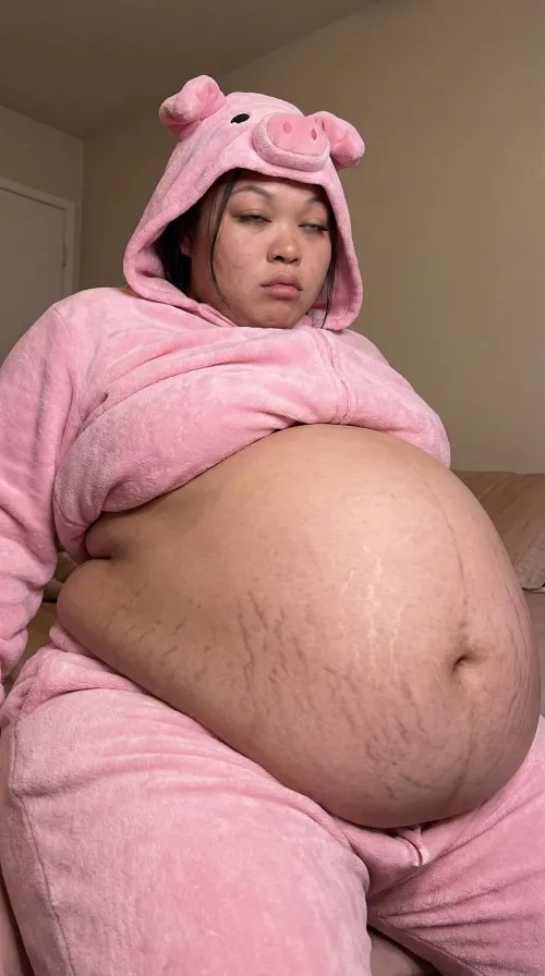 Stuffed Preggo Piggy by Hot_Maintenance_9799