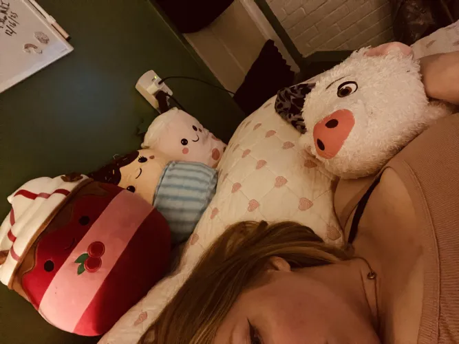 Stuffie Tour!  by strawberrybunny1007