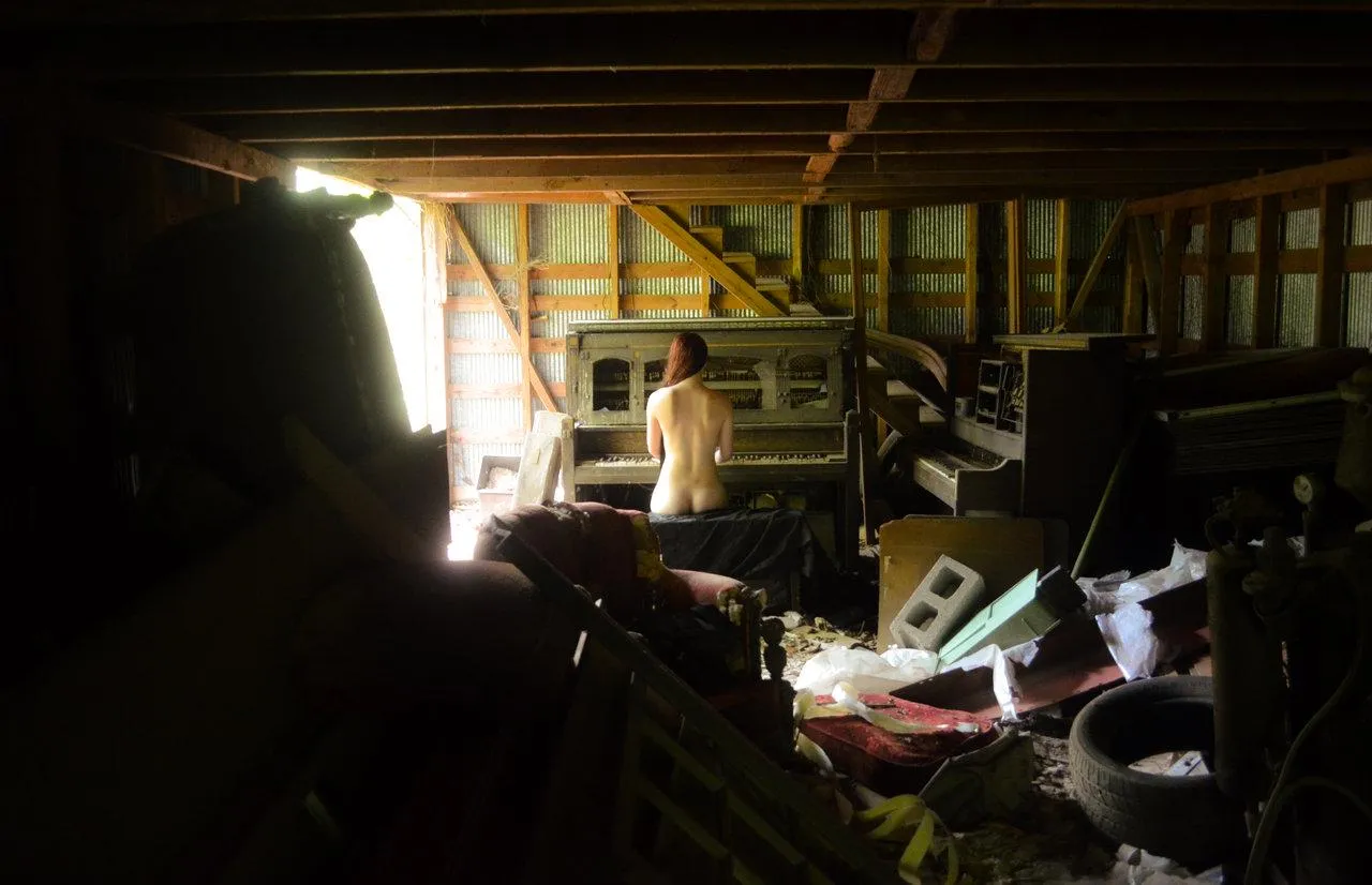 Such a delightful play of contrast posted by karinds1