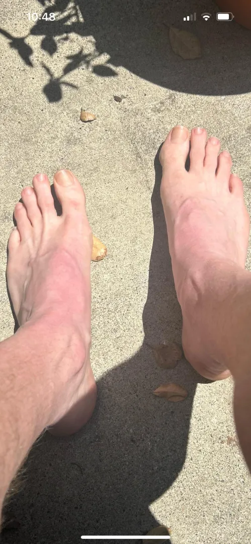 Sun is out posted by Razorboy2323