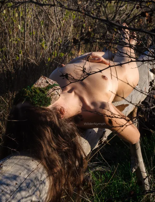 Sunbathing on a cold day by WilderNymph