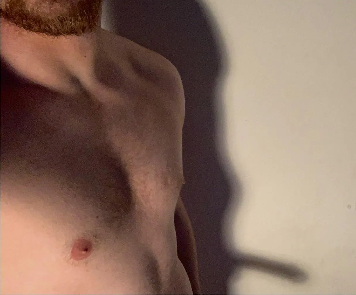 Sunday shadow posted by Comfortable-Buy7153