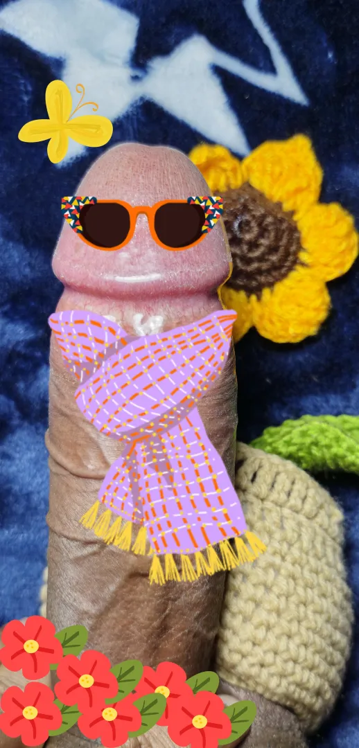 Sunflower  posted by Dry-Reindeer-3057