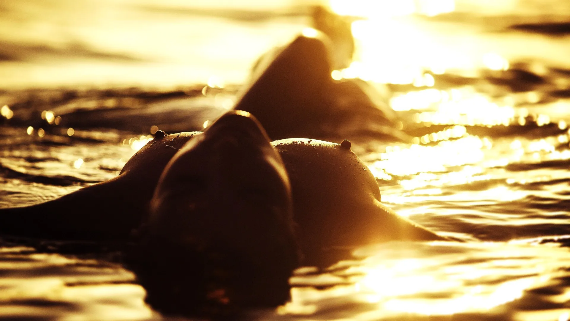 Sunlight Nips - 3840x2160 posted by ExpandMyMinds