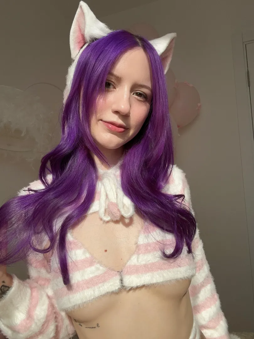 Sunny kitten posted by purrplesun